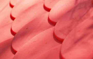 Edgton plastic roof costs